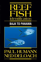 Fish Identification book for Baja to Panama