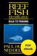 Reef Fish Baja PDF ebook