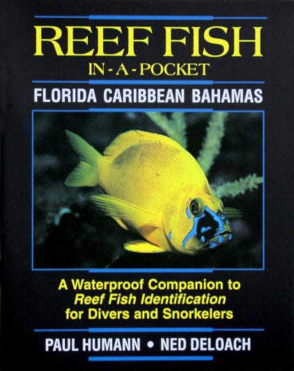 Waterproof field guide to Florida Caribbean and Bahamas