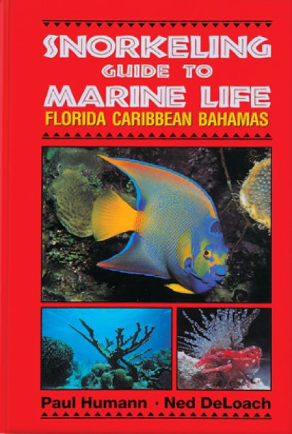Snorkeling Guide to Marine Life Florida Caribbean Bahamas by Paul Humann and Ned DeLoach