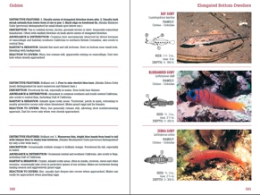 Saltwater Fish ID ISBN0974909165 Gulf Of Mexico Saltwtr Fish ID Book 