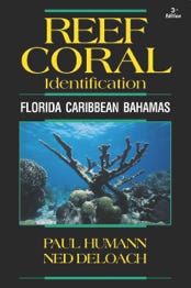 Coral ID book for Florida Caribbean and Bahamas