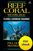 Reef Coral PDF ebook