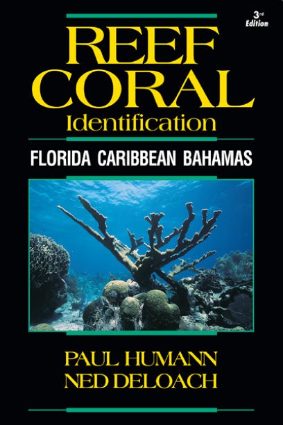 Reef Coral Identification Florida Caribbean Bahamas by Paul Humann and Ned DeLoach