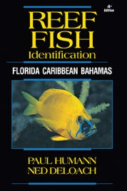 Fish Identfiication book for Florida Caribbean and Bahamas