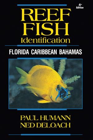 Reef Fish ID