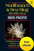 Nudibranch ID Indo-Pacific PDF ebook