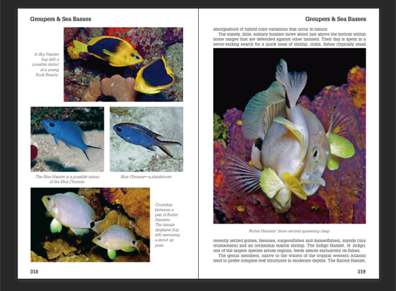 An actual page spread from Reef Fish Behavior Florida Caribbean Bahamas