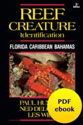 Reef Creature PDF ebook