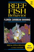 Reef Fish Behavior PDF ebook