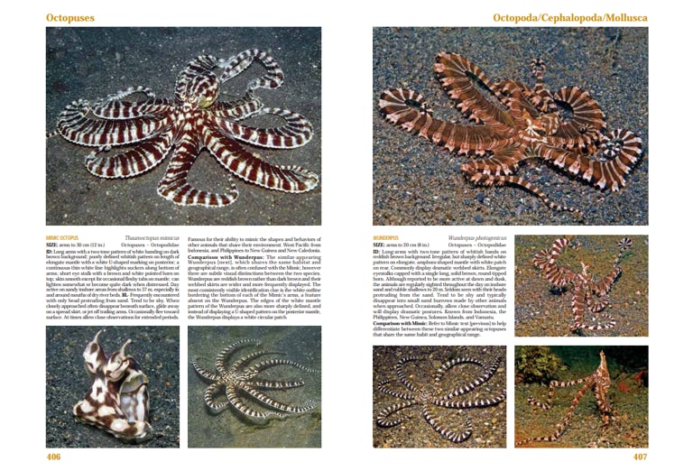 An actual page spread from Reef Creature Identification Tropical Pacific