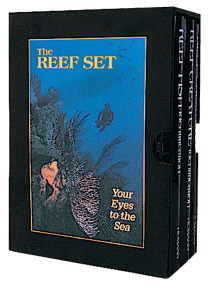 Three book set featuring Reef Fish ID, Reef Creature ID and Reef Coral ID