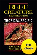 Reef Creature Tropical Pacific PDF ebook